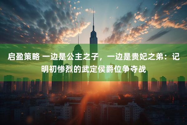 启盈策略 一边是公主之子，一边是贵妃之弟：记明初惨烈的武定侯爵位争夺战