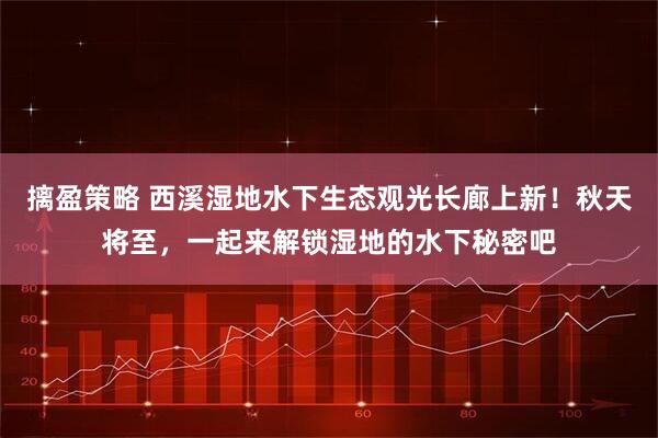 摛盈策略 西溪湿地水下生态观光长廊上新！秋天将至，一起来解锁湿地的水下秘密吧
